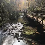 Dzelalija *