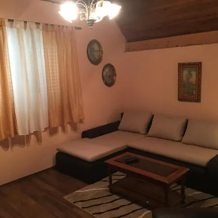 Prázdninový dům Dzelalija Stara Susica