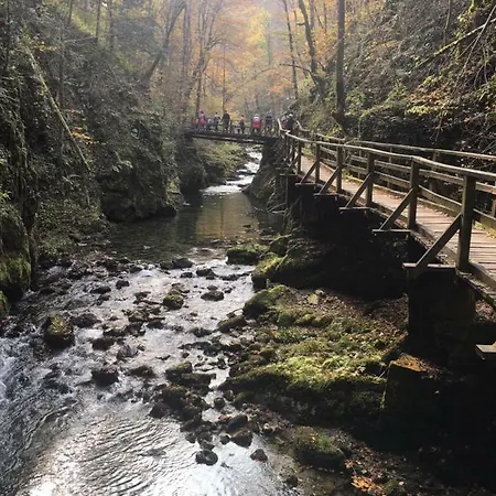 Dzelalija *